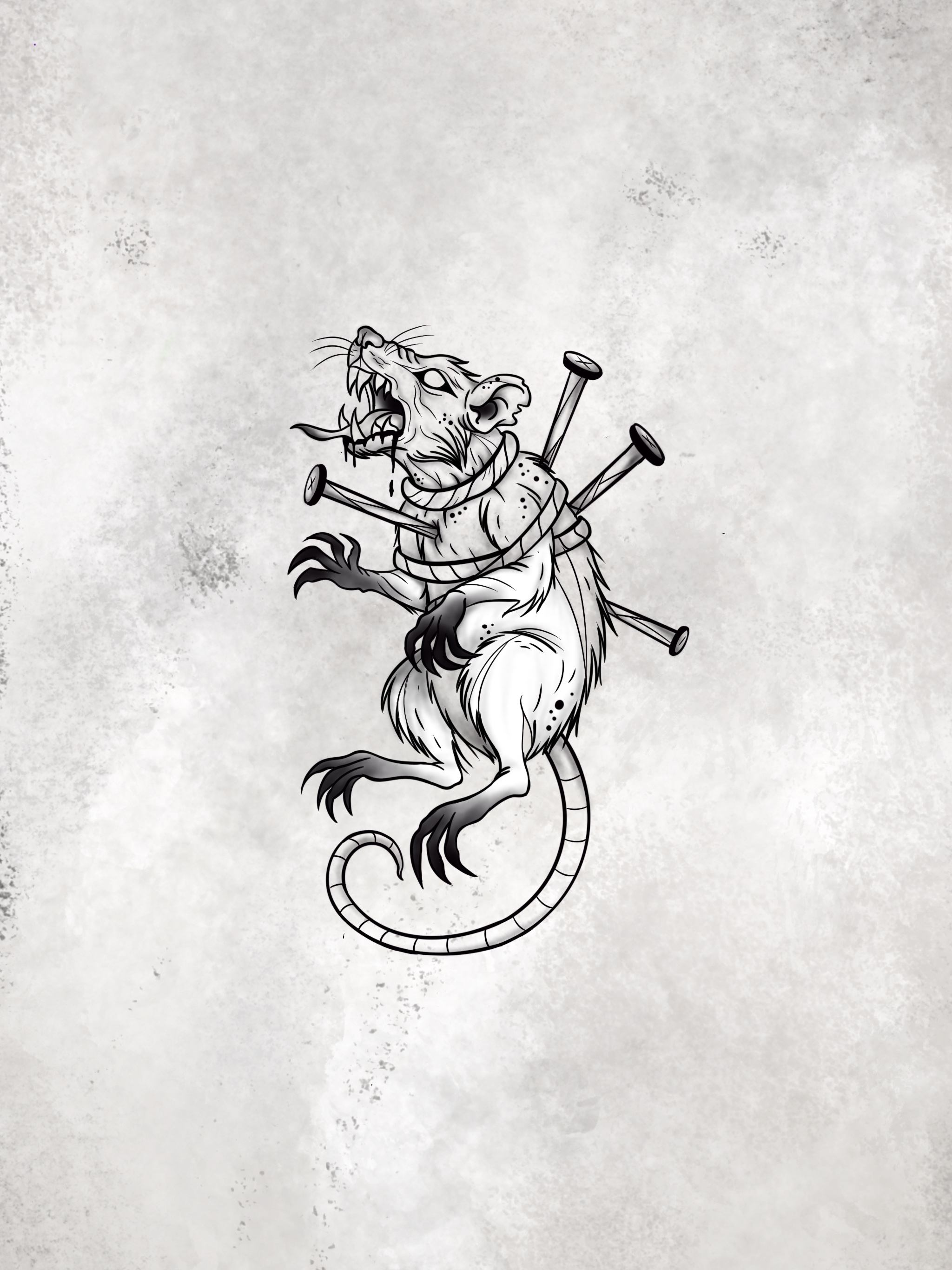 Rat